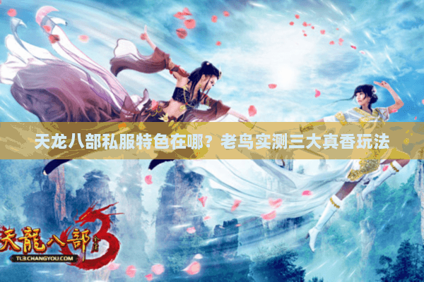 天龙八部私服特色在哪?老鸟实测三大真香玩法 天龙八部私服特色在哪?老鸟实测三大真香玩法