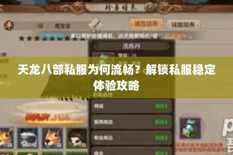 天龙八部私服为何流畅？解锁私服稳定体验攻略