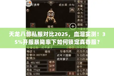 天龙八部私服对比2025,血泪实测!35%开服暴毙率下如何锁定真香服? 天龙八部私服对比2025,血泪实测!35%开服暴毙率下如何锁定真香服?