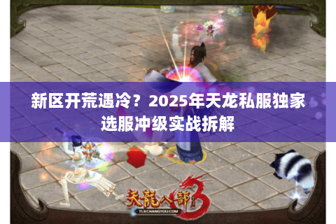 新区开荒遇冷？2025年天龙私服独家选服冲级实战拆解