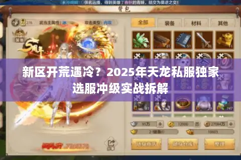 新区开荒遇冷？2025年天龙私服独家选服冲级实战拆解