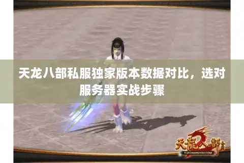 天龙八部私服独家版本数据对比，选对服务器实战步骤