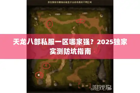 天龙八部私服一区哪家强？2025独家实测防坑指南