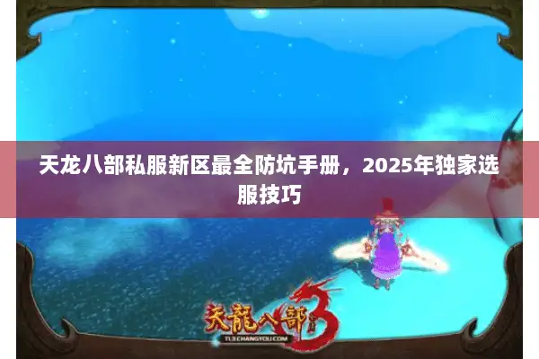 天龙八部私服新区最全防坑手册，2025年独家选服技巧