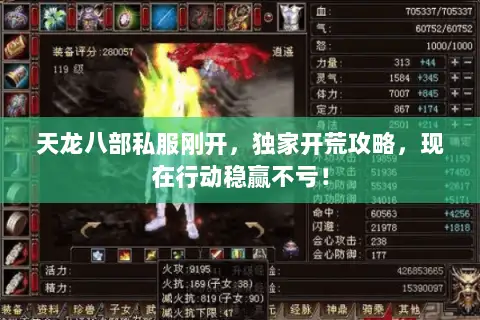 天龙八部私服刚开，独家开荒攻略，现在行动稳赢不亏！