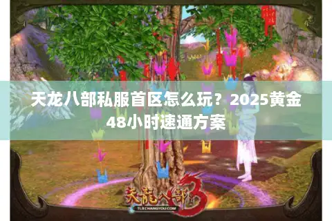 天龙八部私服首区怎么玩?2025黄金48小时速通方案 天龙八部私服首区怎么玩?2025黄金48小时速通方案