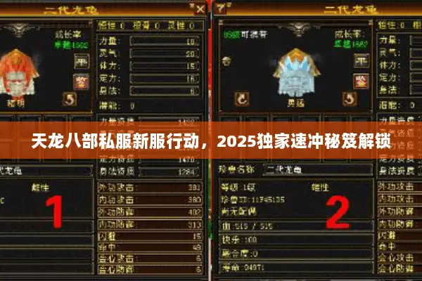 天龙八部私服新服行动,2025独家速冲秘笈解锁 天龙八部私服新服行动,2025独家速冲秘笈解锁
