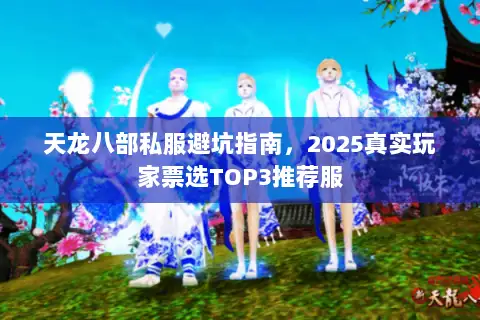 天龙八部私服避坑指南,2025真实玩家票选TOP3推荐服 天龙八部私服避坑指南,2025真实玩家票选TOP3推荐服