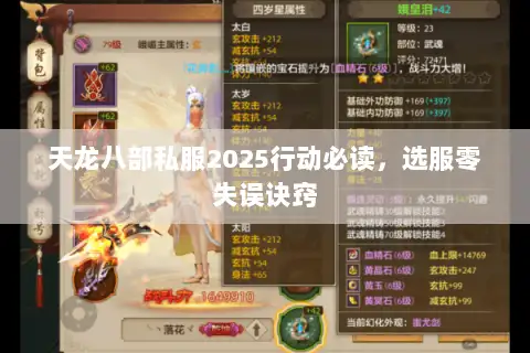 天龙八部私服2025行动必读，选服零失误诀窍