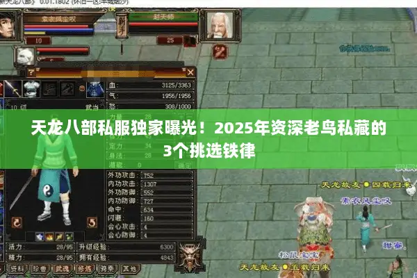 天龙八部私服独家曝光!2025年资深老鸟私藏的3个挑选铁律 天龙八部私服独家曝光!2025年资深老鸟私藏的3个挑选铁律