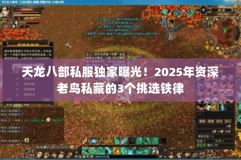 天龙八部私服独家曝光!2025年资深老鸟私藏的3个挑选铁律 天龙八部私服独家曝光!2025年资深老鸟私藏的3个挑选铁律