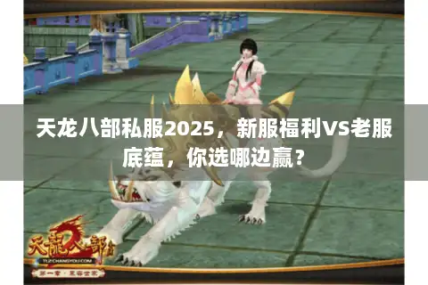 天龙八部私服2025，新服福利VS老服底蕴，你选哪边赢？