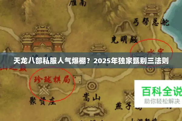 天龙八部私服人气爆棚？2025年独家甄别三法则