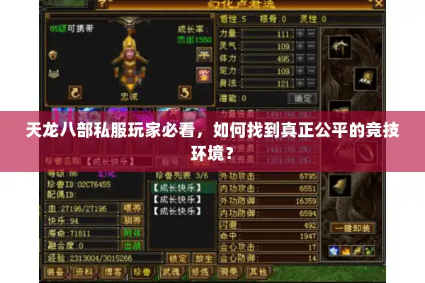 天龙八部私服玩家必看，如何找到真正公平的竞技环境？