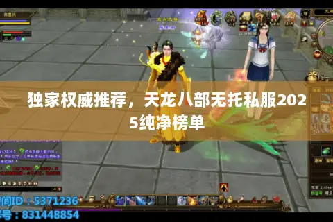 独家权威推荐,天龙八部无托私服2025纯净榜单 独家权威推荐,天龙八部无托私服2025纯净榜单