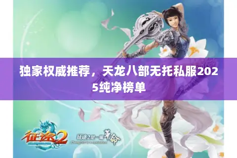 独家权威推荐,天龙八部无托私服2025纯净榜单 独家权威推荐,天龙八部无托私服2025纯净榜单