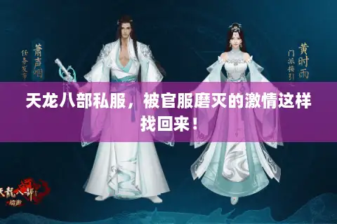 天龙八部私服，被官服磨灭的激情这样找回来！