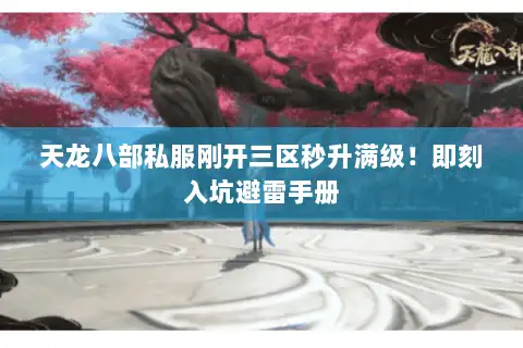 天龙八部私服刚开三区秒升满级!即刻入坑避雷手册 天龙八部私服刚开三区秒升满级!即刻入坑避雷手册