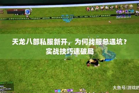 天龙八部私服新开，为何找服总遇坑？实战技巧速破局