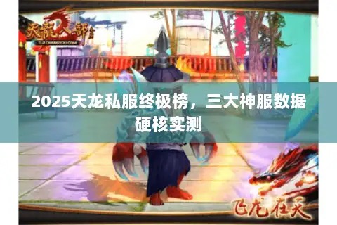 2025天龙私服终极榜,三大神服数据硬核实测 2025天龙私服终极榜,三大神服数据硬核实测