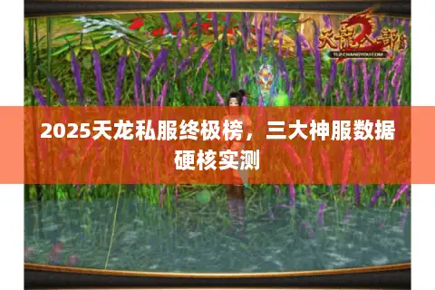 2025天龙私服终极榜,三大神服数据硬核实测 2025天龙私服终极榜,三大神服数据硬核实测