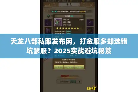 天龙八部私服发布网，打金服多却选错坑爹服？2025实战避坑秘笈