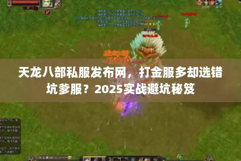 天龙八部私服发布网，打金服多却选错坑爹服？2025实战避坑秘笈