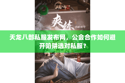 天龙八部私服发布网，公会合作如何避开陷阱选对私服？
