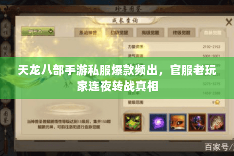 天龙八部手游私服爆款频出，官服老玩家连夜转战真相