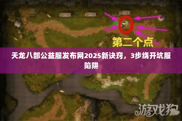 天龙八部公益服发布网2025新诀窍，3步绕开坑服陷阱