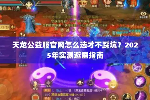 天龙公益服官网怎么选才不踩坑？2025年实测避雷指南