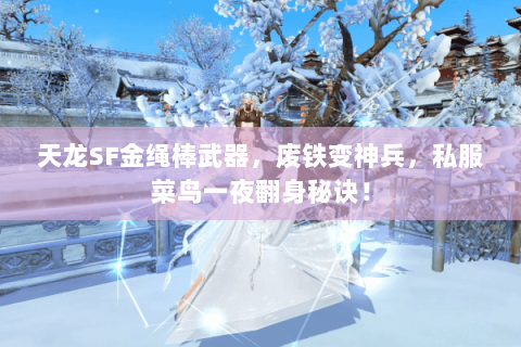 天龙SF金绳棒武器,废铁变神兵,私服菜鸟一夜翻身秘诀! 天龙SF金绳棒武器,废铁变神兵,私服菜鸟一夜翻身秘诀!