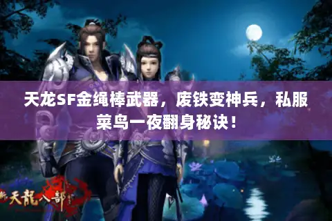 天龙SF金绳棒武器,废铁变神兵,私服菜鸟一夜翻身秘诀! 天龙SF金绳棒武器,废铁变神兵,私服菜鸟一夜翻身秘诀!