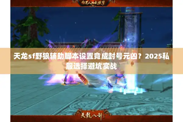 天龙sf野狼辅助脚本设置竟成封号元凶？2025私服选择避坑实战