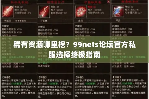 稀有资源哪里挖?99nets论坛官方私服选择终极指南 稀有资源哪里挖?99nets论坛官方私服选择终极指南