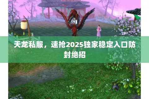 天龙私服，速抢2025独家稳定入口防封绝招