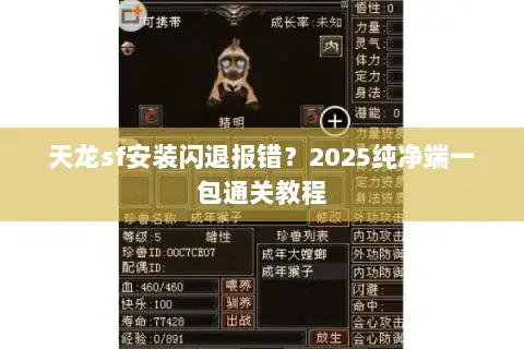 天龙sf安装闪退报错？2025纯净端一包通关教程
