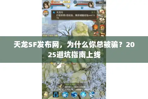 天龙SF发布网，为什么你总被骗？2025避坑指南上线
