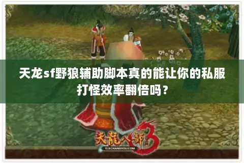 天龙sf野狼辅助脚本真的能让你的私服打怪效率翻倍吗？