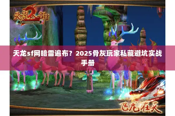 天龙sf网暗雷遍布？2025骨灰玩家私藏避坑实战手册