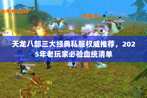 天龙八部三大经典私服权威推荐,2025年老玩家必验血统清单 天龙八部三大经典私服权威推荐,2025年老玩家必验血统清单