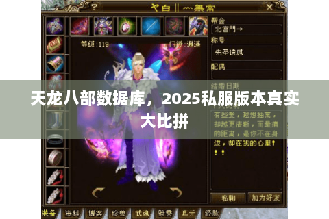 天龙八部数据库,2025私服版本真实大比拼 天龙八部数据库,2025私服版本真实大比拼