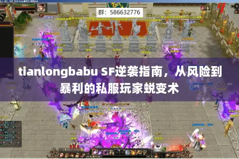 tianlongbabu SF逆袭指南，从风险到暴利的私服玩家蜕变术