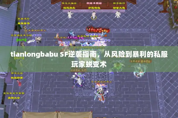 tianlongbabu SF逆袭指南，从风险到暴利的私服玩家蜕变术