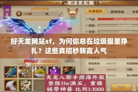 好天龙网站sf，为何你总在垃圾服里挣扎？这些真招秒转高人气