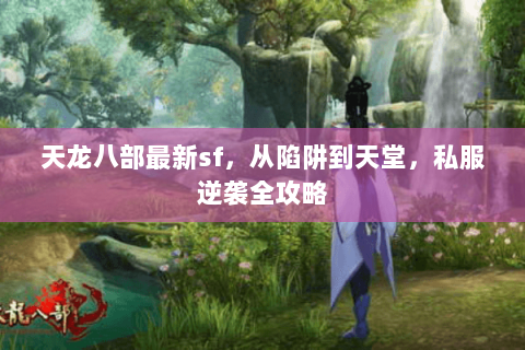 天龙八部最新sf，从陷阱到天堂，私服逆袭全攻略