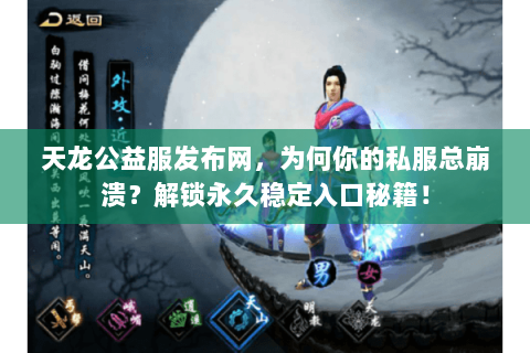 天龙公益服发布网，为何你的私服总崩溃？解锁永久稳定入口秘籍！