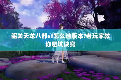 韶关天龙八部sf怎么选版本?老玩家教你避坑诀窍