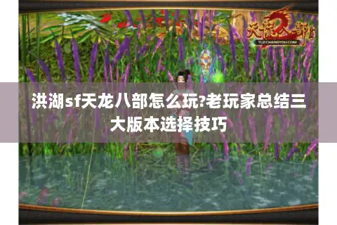 洪湖sf天龙八部怎么玩?老玩家总结三大版本选择技巧 洪湖sf天龙八部怎么玩?老玩家总结三大版本选择技巧