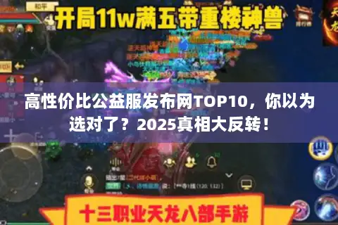 高性价比公益服发布网TOP10,你以为选对了?2025真相大反转! 高性价比公益服发布网TOP10,你以为选对了?2025真相大反转!
